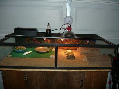 374637_290718880965703_100000827814130_766065_1873849118_n.jpg (52.38 KiB) Viewed 33670 times 374637_290718880965703_100000827814130_766065_1873849118_n.jpg