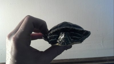 2012-01-17_13-23-00_216-1.jpg