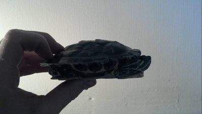 X2012-01-17_13-22-54_83-1.jpg