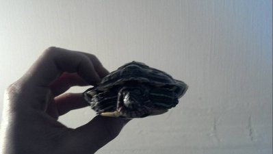 2012-01-17_13-20-47_518-1.jpg