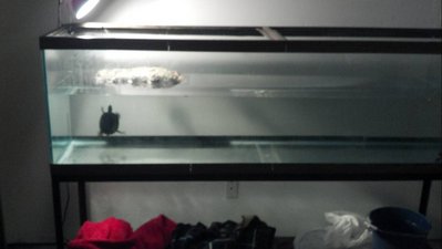 X2012-01-15_21-29-48_501-1.jpg