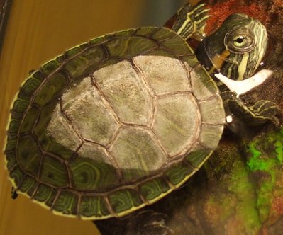 DSCF8675.jpg