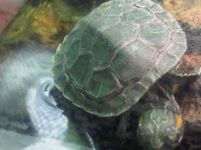 IMG-20120307-01229.jpg