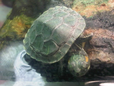 IMG-20120307-01230.jpg