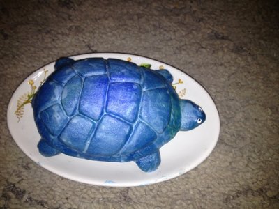 Turtle Soap.jpg
