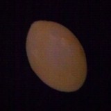 IMAG0949.jpg