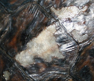 Cropped_IMG_1687.jpg