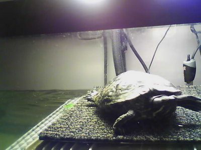 20101204_181535.jpg