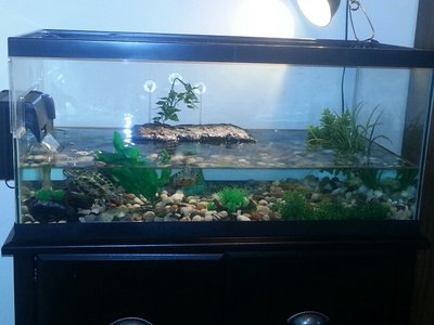 20130420_233659_resized.jpg