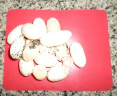 20-Eggs.JPG