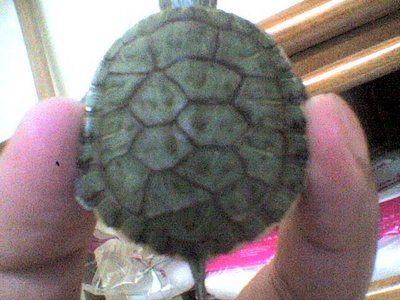 16-12-10_2002.jpg