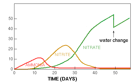 graph.gif