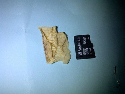 IMG-20110226-00012.jpg