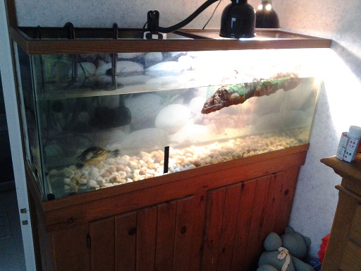 20150927_092343.jpg