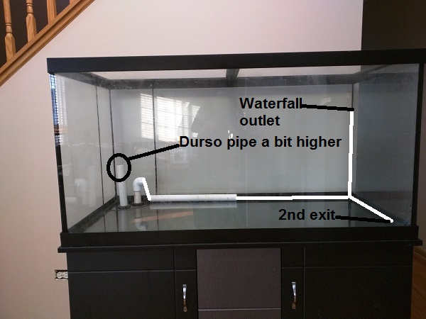 120 Turtle Idea.jpg