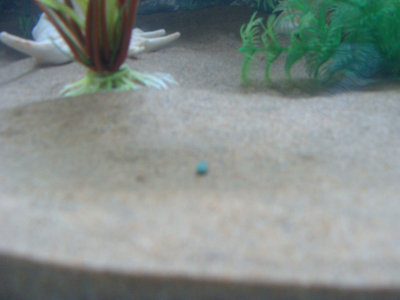 DSC01691.JPG