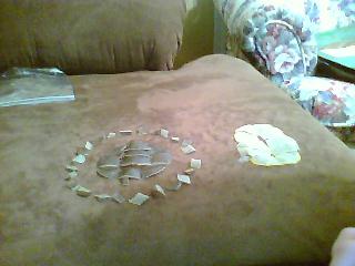 Picture0079.jpg