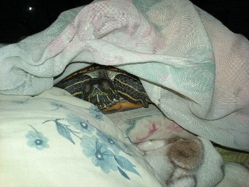 20170305_222244.jpg
