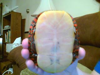 Picture0074.jpg