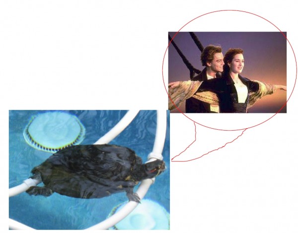 Toady float dreaming.jpg