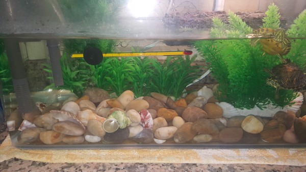 substrate.jpg
