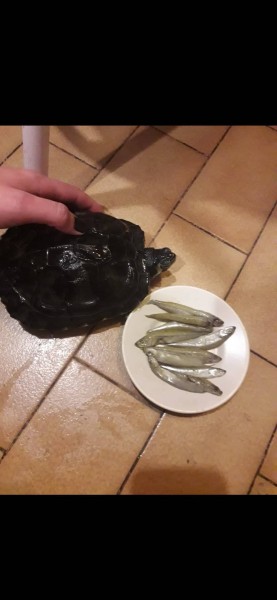 teki4.jpg