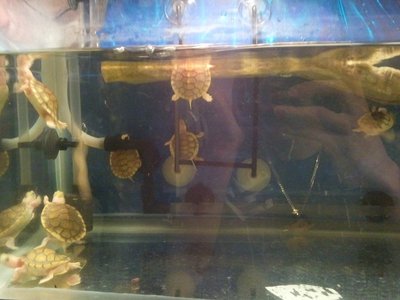 2010-10-23 18.02.28.jpg