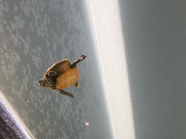 IMG_6755.jpg