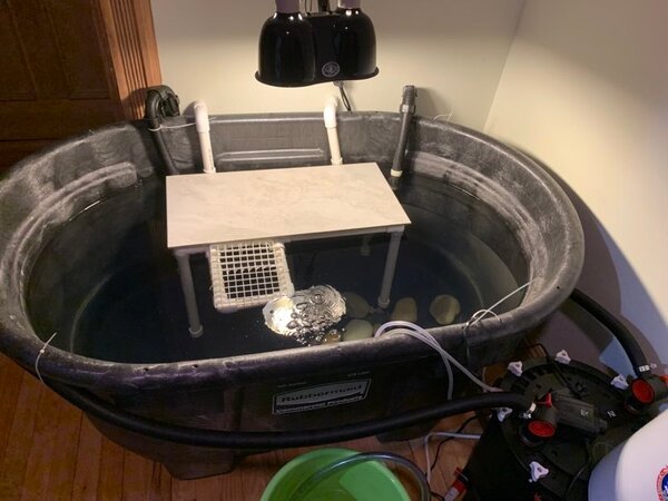 TankSetup.jpg