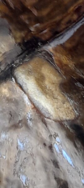 Screenshot_20230731-130704_Gallery.jpg