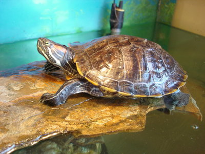DSC09980_2.jpg