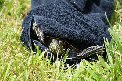 Cropped_IMG_1707.JPG