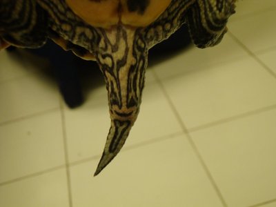 DSC06385.JPG